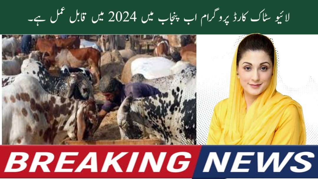 Livestock Cards Program Now Valid in Punjab 2024